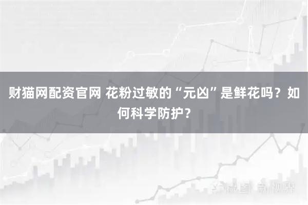 财猫网配资官网 花粉过敏的“元凶”是鲜花吗？如何科学防护？