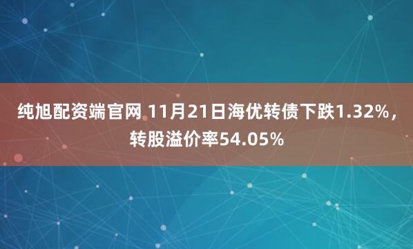 纯旭配资端官网 11月21日海优转债下跌1.32%,转股溢价率54.05%